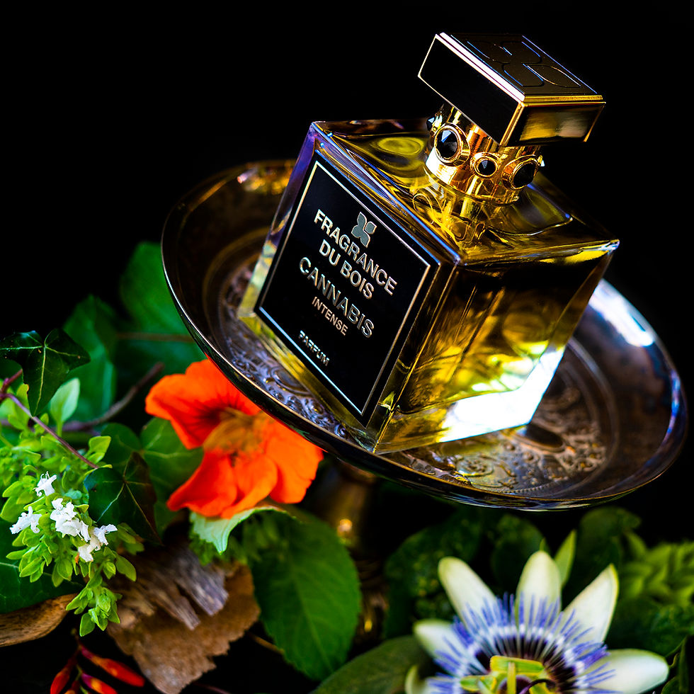 FRAGRANCE DU BOIS Cannabis Intense