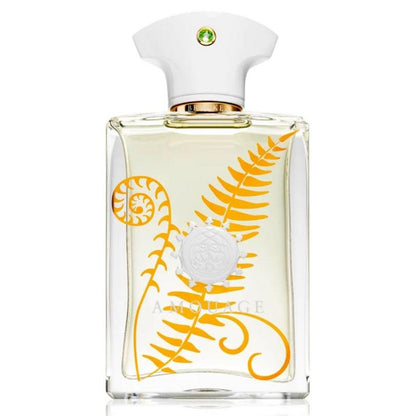 AMOUAGE Bracken Homme eau de parfum 100 ml urperfume.ma