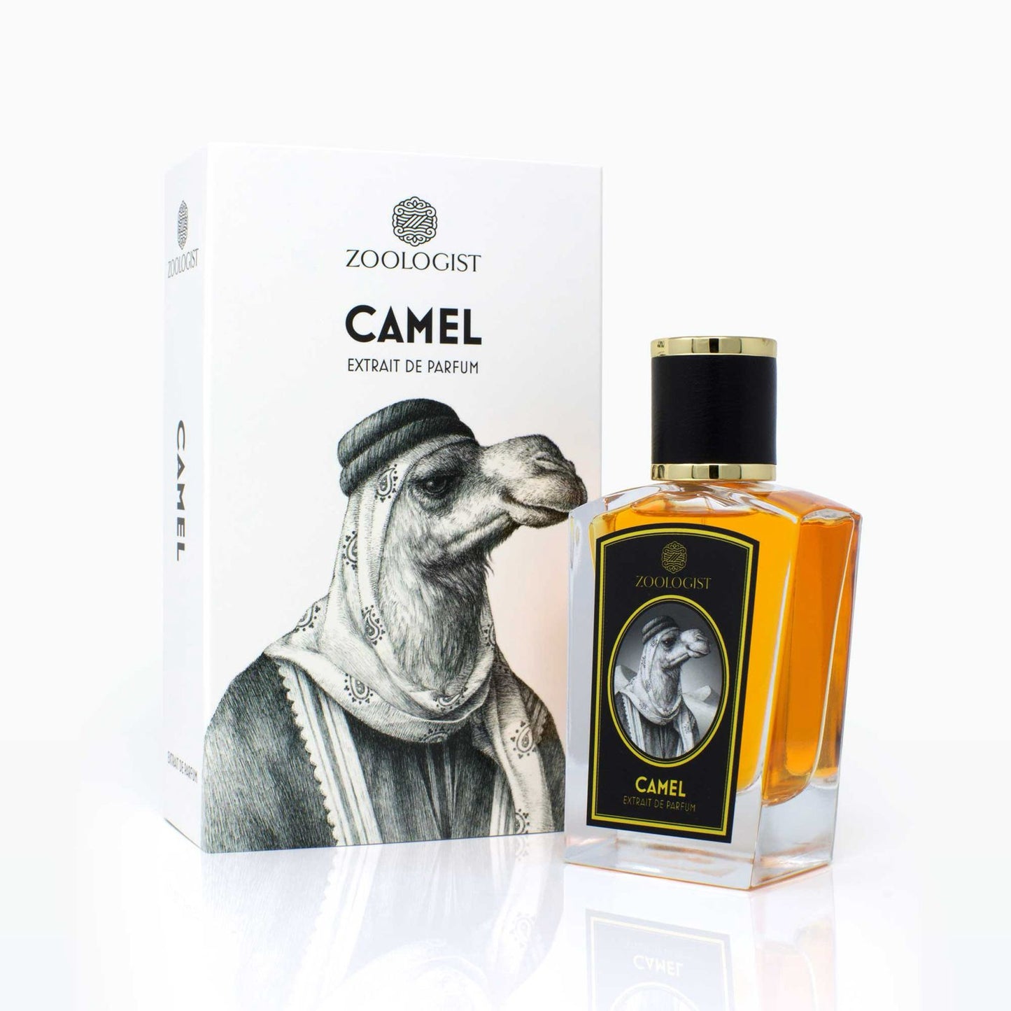 ZOOLOGISTE Camel