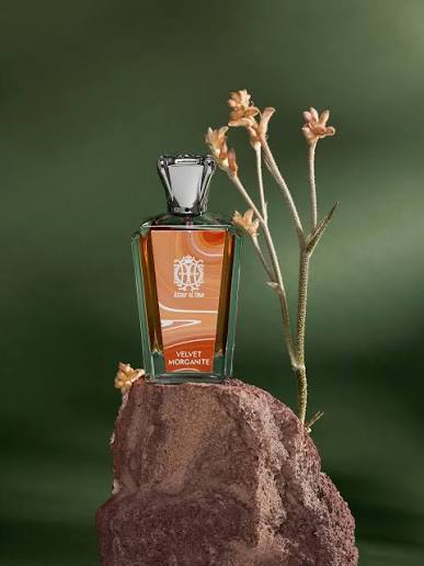 ATTAR AL HAS Velvet Morganite Extrait de Parfum