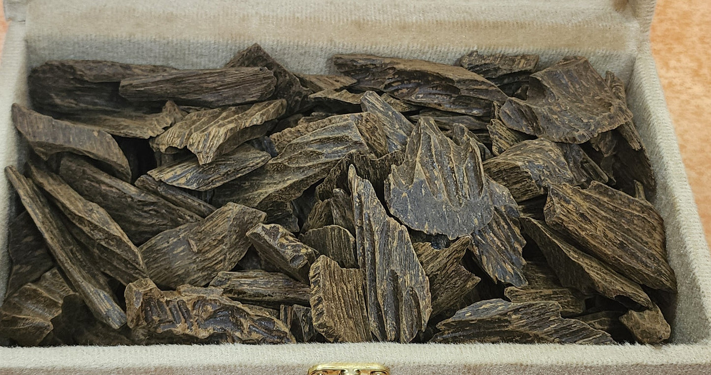 عود أزرق طبيعي