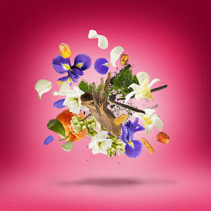 XERJOFF Coro Eau de Parfum