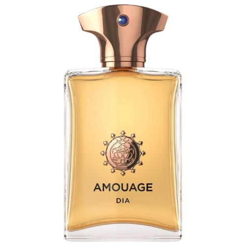 AMOUAGE Dia Man