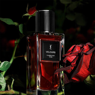 Yves Saint Laurent  VELOURS