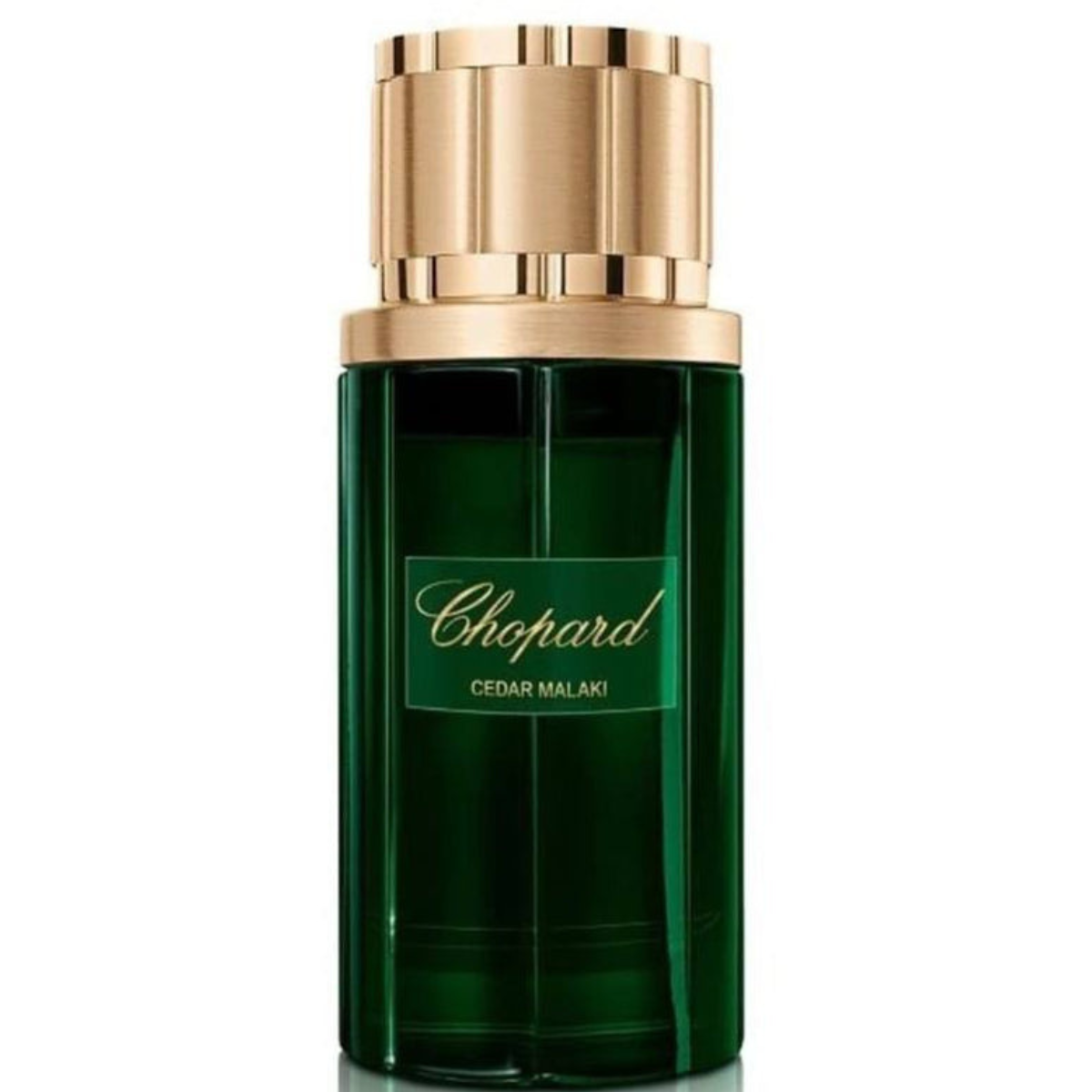 CHOPARD Cedar Malaki